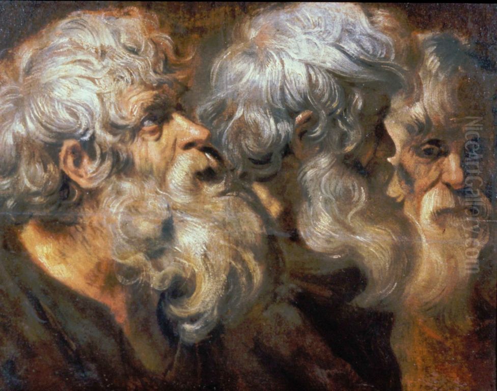 Three studies of the head of an old man Oil Painting by Jacob Jordaens