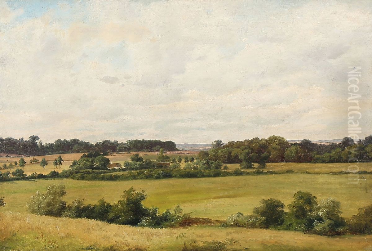 Danish summer landscape Oil Painting by Axel Schovelin