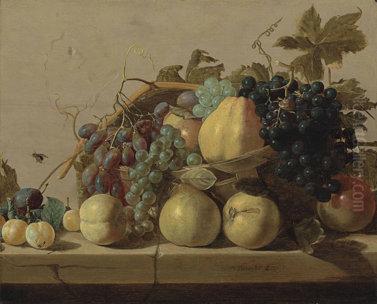 Grapes and pears in a woven basket, with pears, peaches, apricots and a plum on a stone ledge, with a fly on the stone wall Oil Painting by Claes Van Heussen