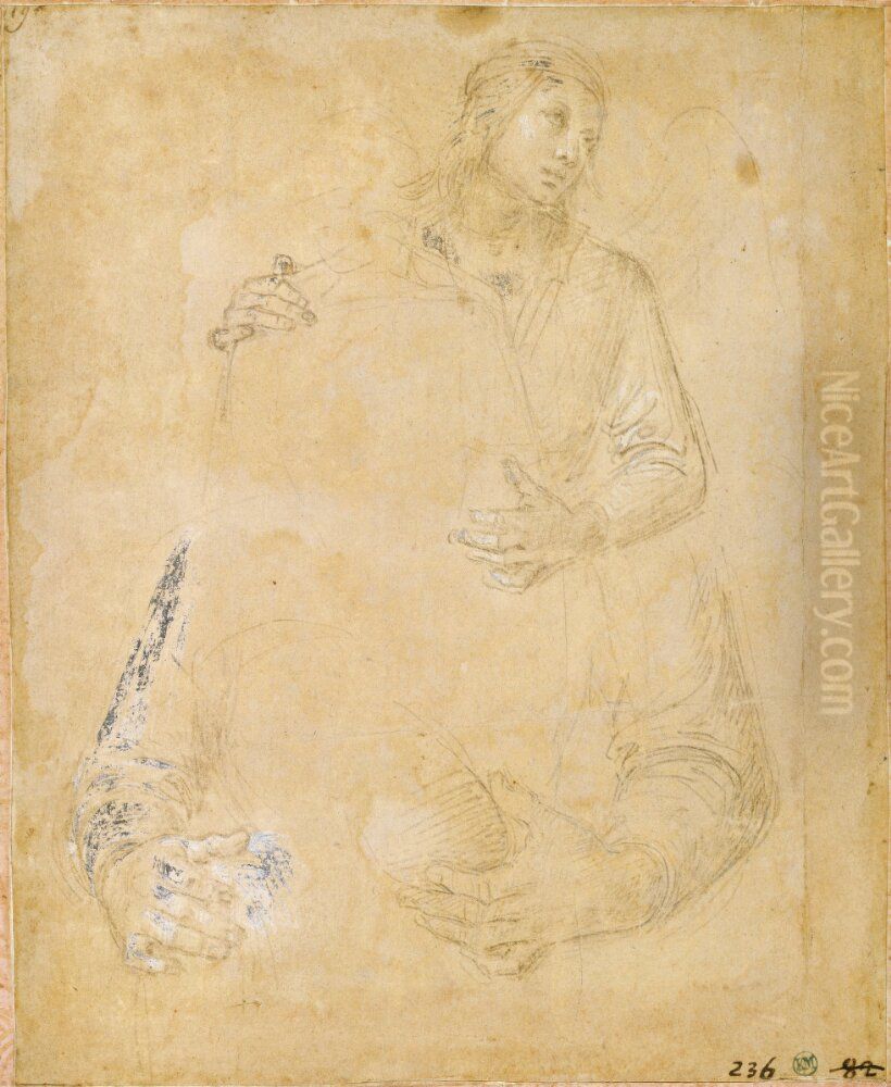 Studies for an Angel Oil Painting by Pietro Vannucci Perugino