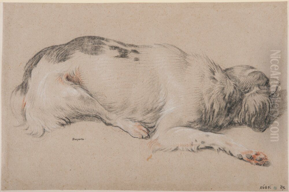 Espagneul Francais, Recumbent, Facing Right Oil Painting by Alexandre-Francois Desportes