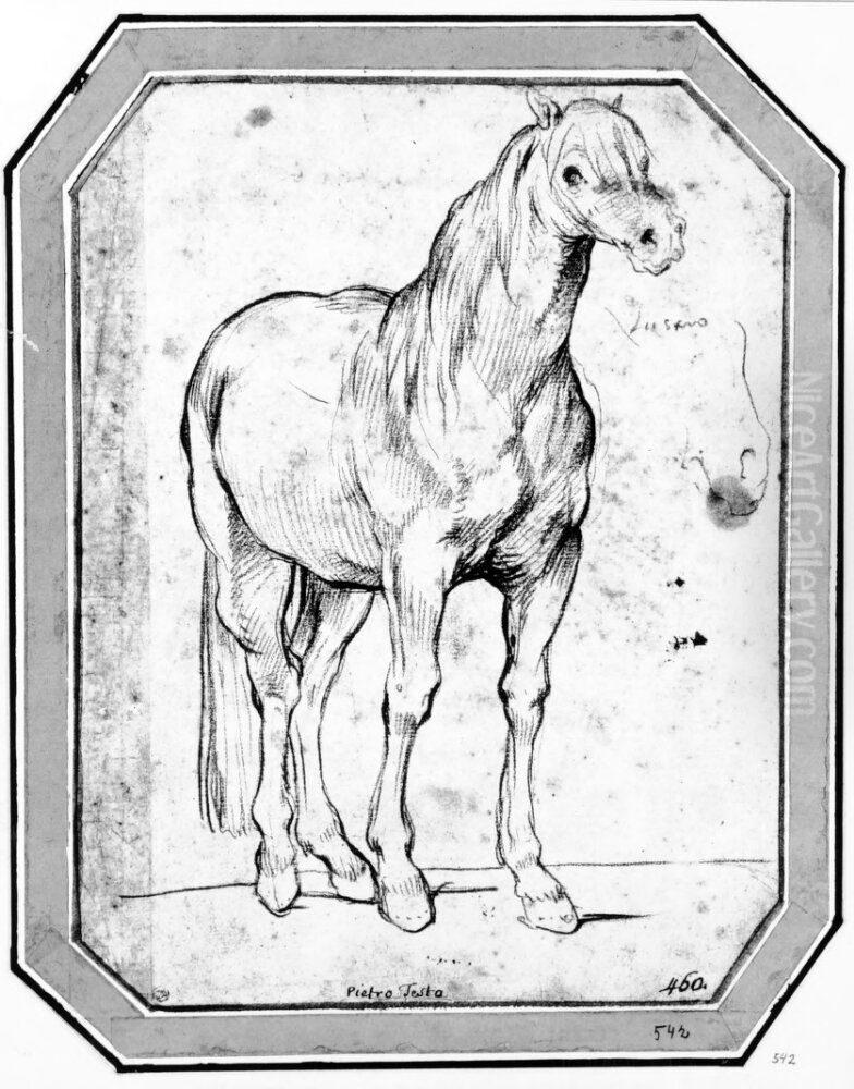 Study of a horse for 