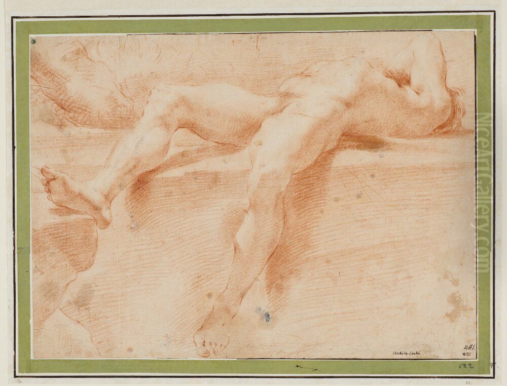 Reclining Nude Oil Painting by Andrea Sacchi