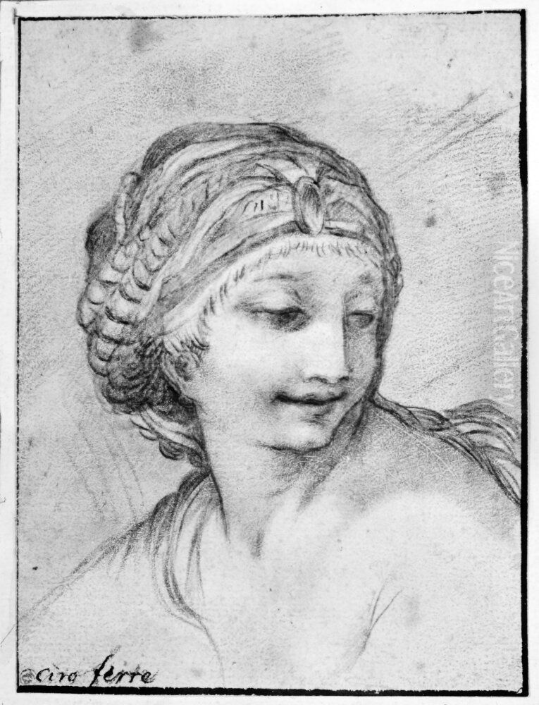 Head and shoulders of a young woman Oil Painting by Pietro da Cortona