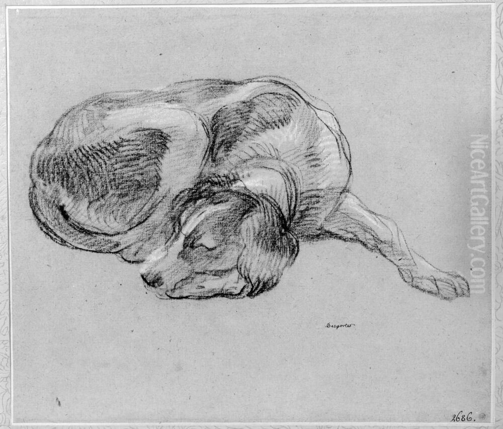 Espagneul Francais, hopkrupen, sovande Oil Painting by Alexandre-Francois Desportes