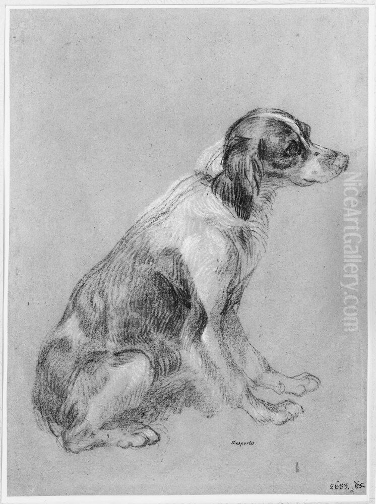 Espagneul Francais, sittande Oil Painting by Alexandre-Francois Desportes