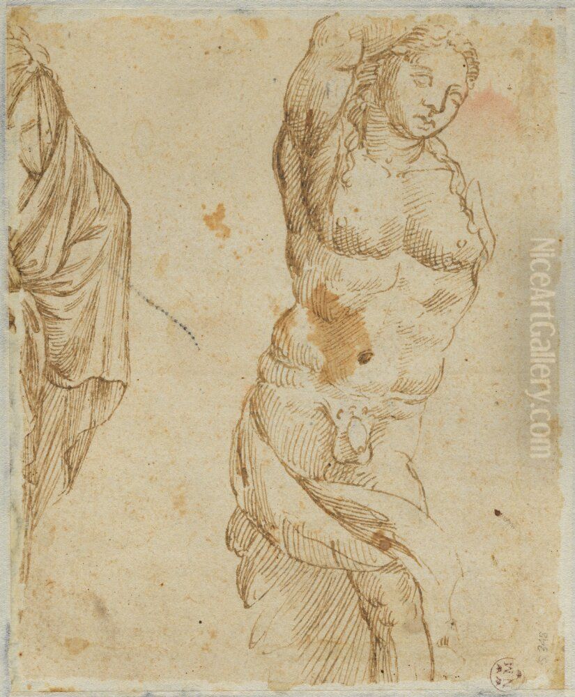 Studies of Antique Sculptures Oil Painting by Giovanni da Udine