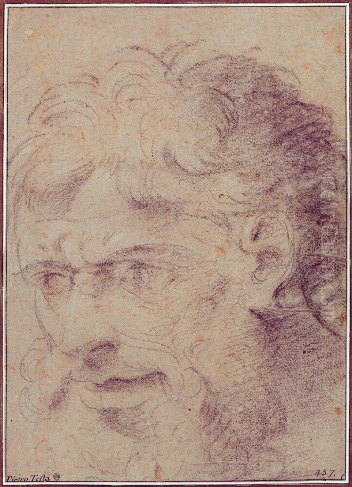 Study of a male head Oil Painting by Pietro Testa