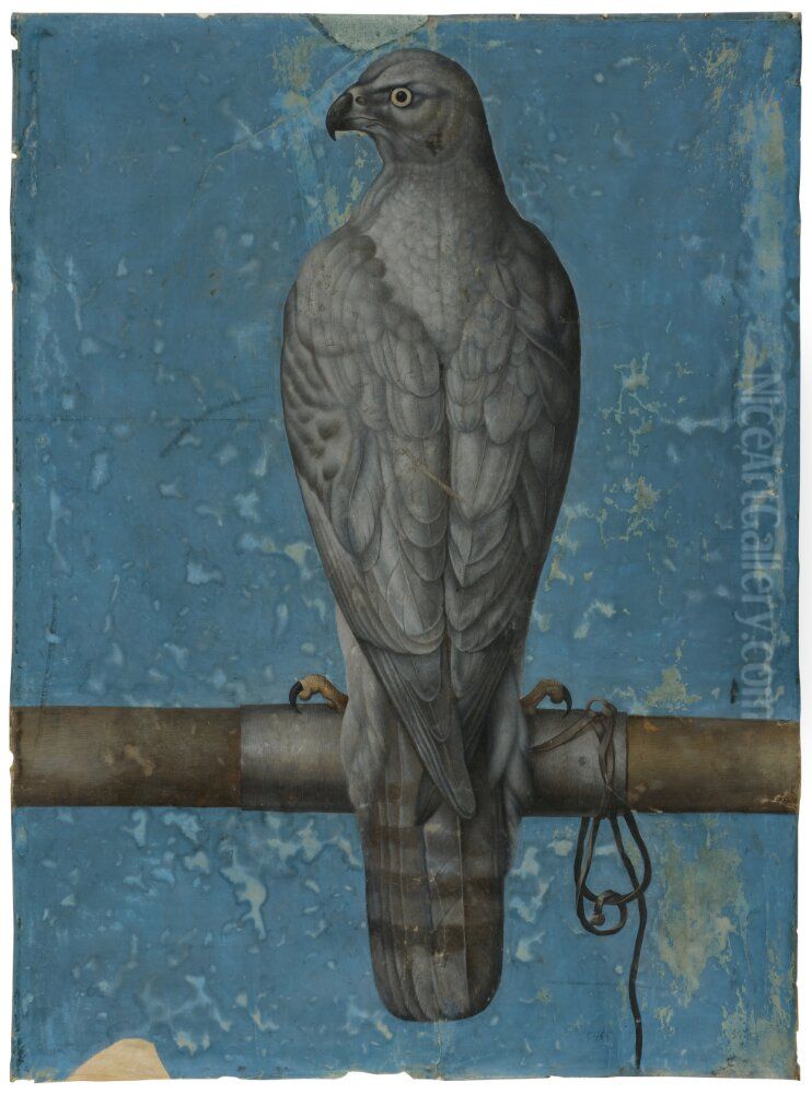 Goshawk, from Behind Oil Painting by Joris Hoefnagel