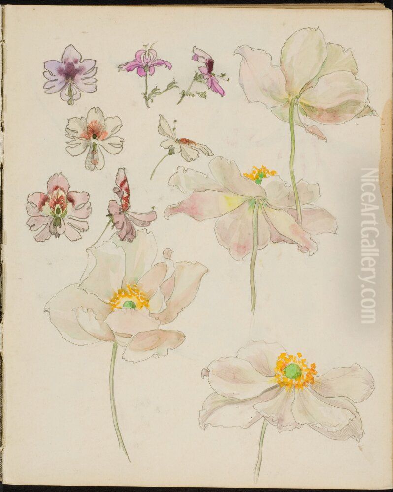 Skissbok, 51 blad, mest blomstudier Oil Painting by Gunnar Gunnarsson Wennerberg