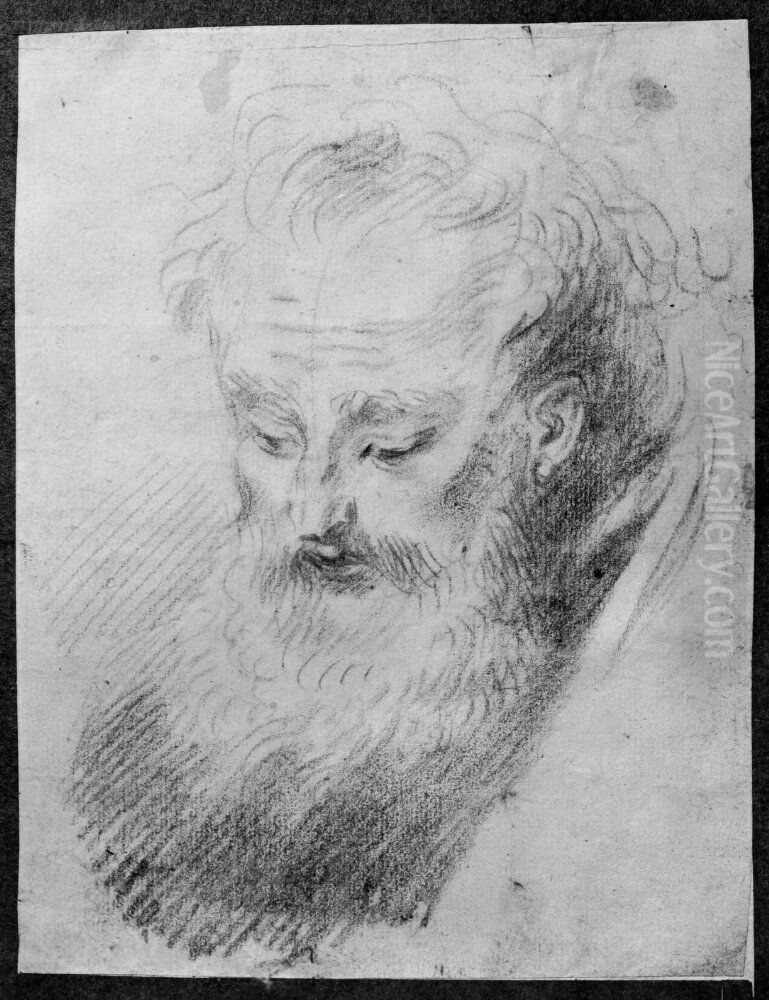 Huvudet pa en gammal skaggig man Oil Painting by Jean-Antoine Watteau