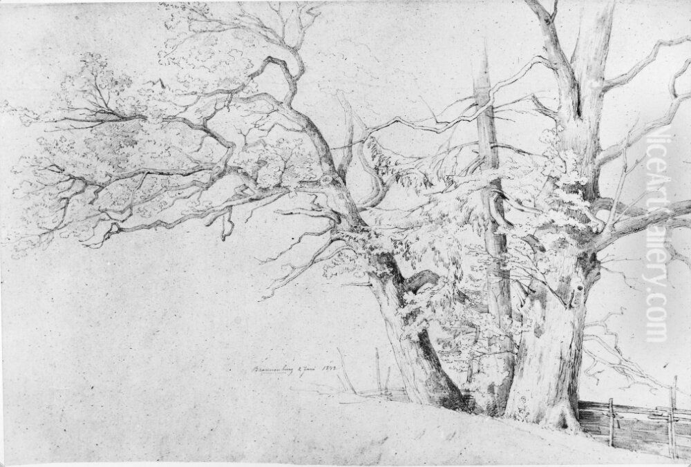 Tradstudie Oil Painting by Joseph Magnus Stack