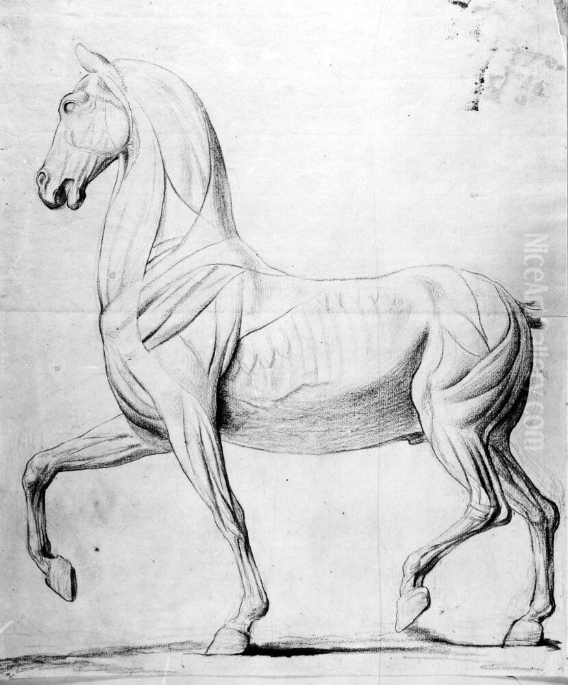 Hast i profil gaende at vanster Oil Painting by Pierre Hubert L'Archeveque