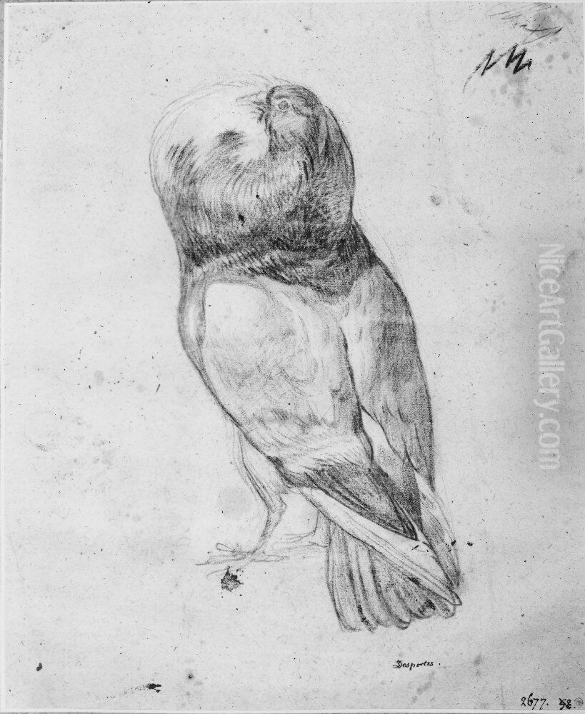 Duva Oil Painting by Alexandre-Francois Desportes