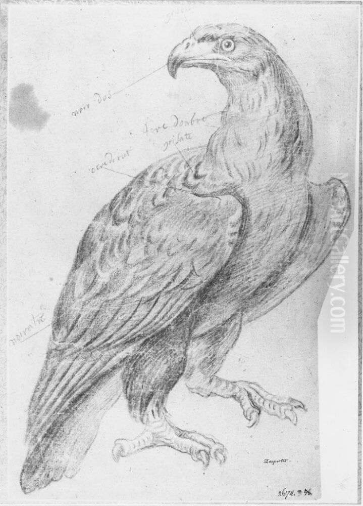 Orn Oil Painting by Alexandre-Francois Desportes