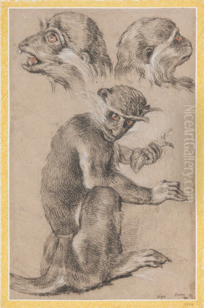 Apa och tva studier av aphuvuden Oil Painting by Nicolas Bertin