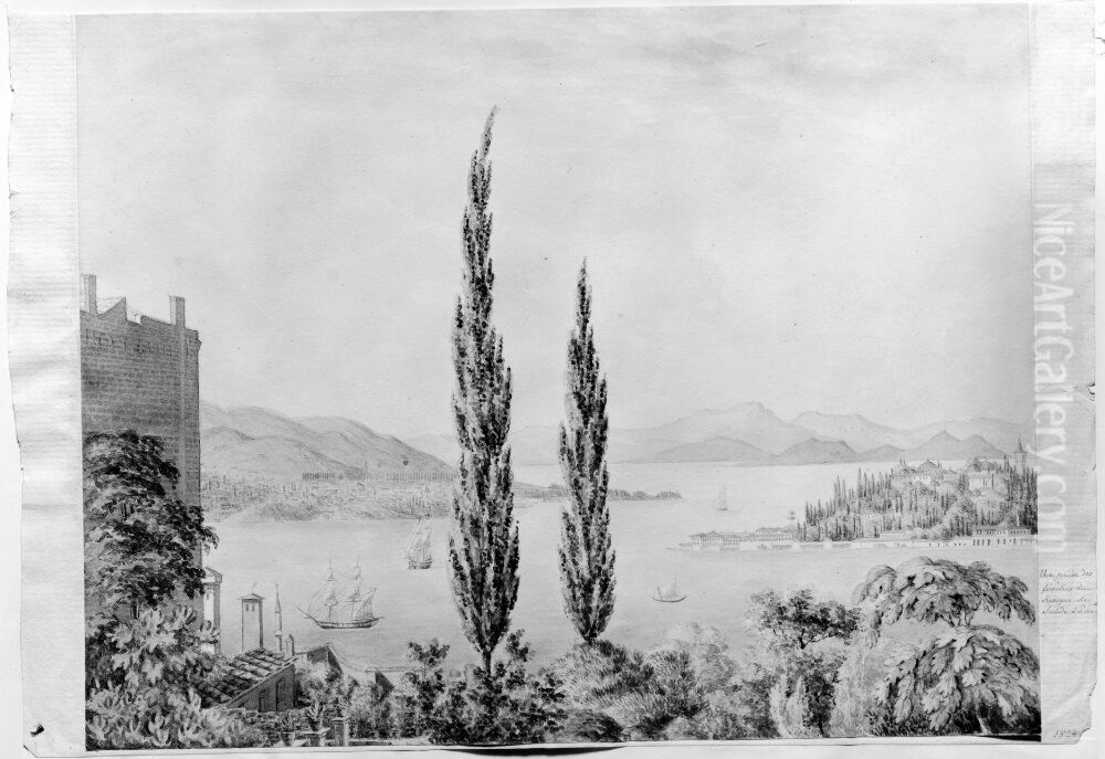 Utsikt over Konstantinopel Oil Painting by Carl Gustaf Lowenhielm