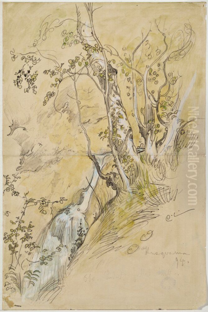 Bjorkar vid back Oil Painting by Carl Larsson