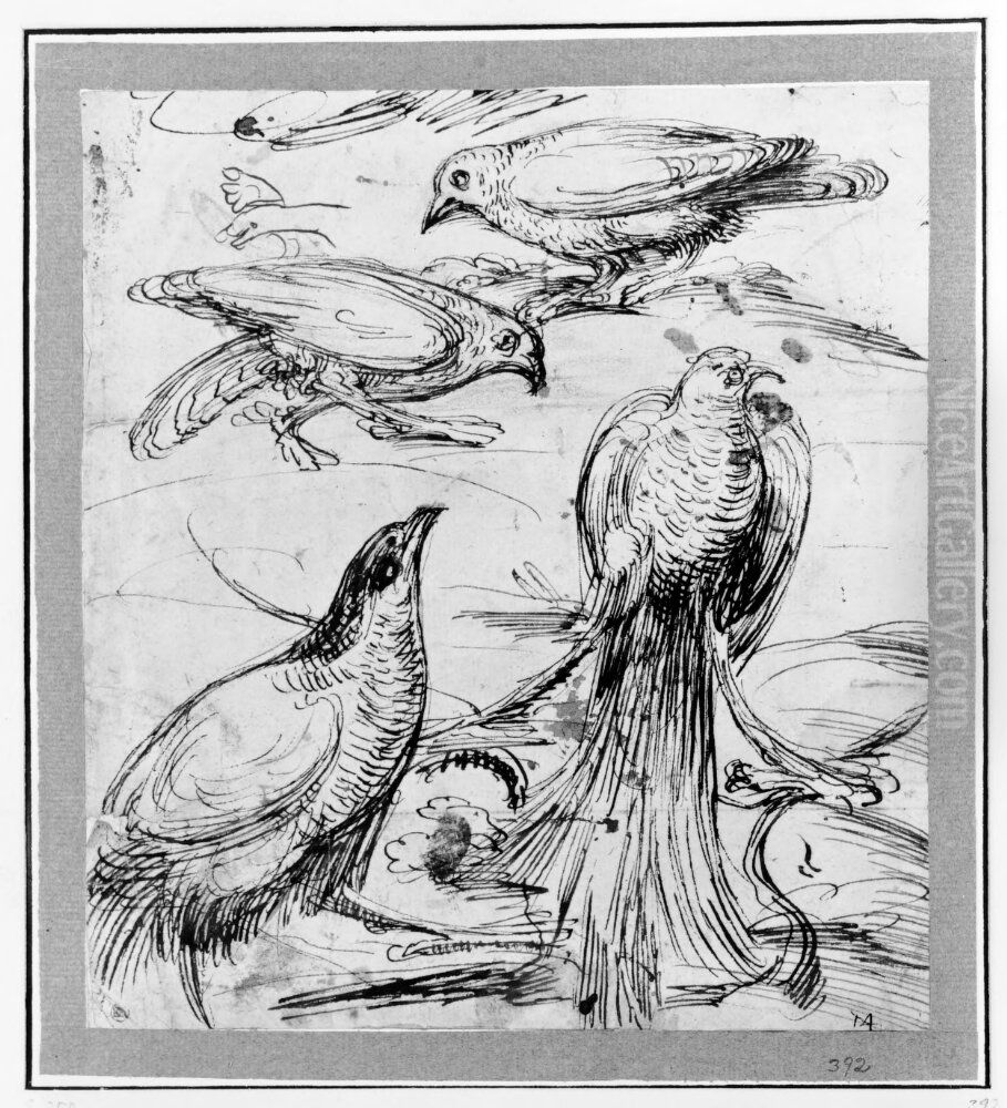 Doves and Phaesants Oil Painting by Giovanni da Udine