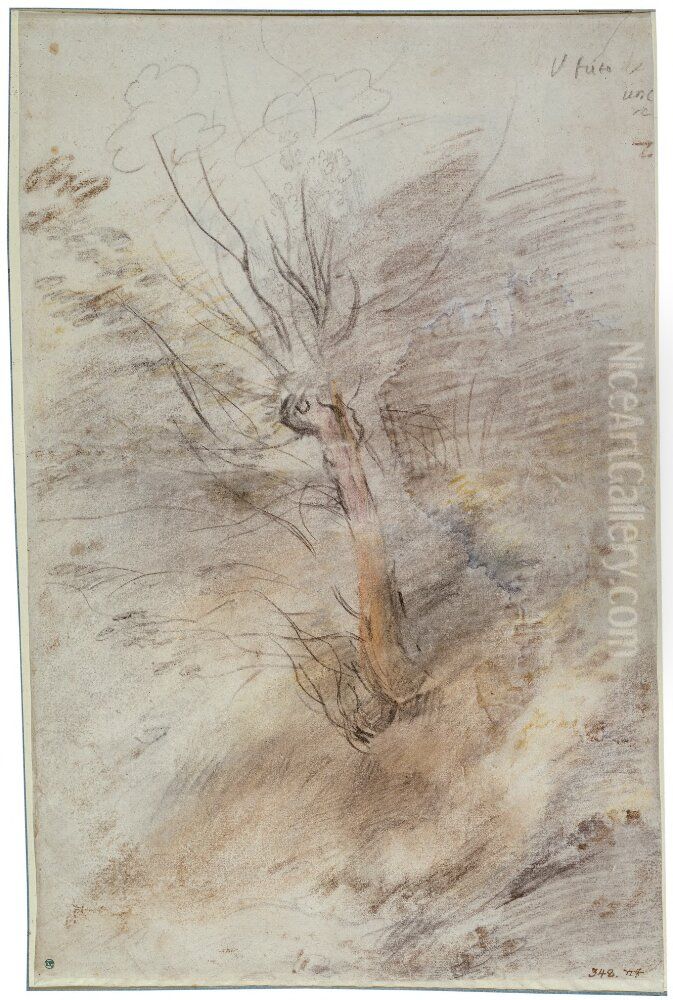 Study of a Tree Oil Painting by Federico Barocci