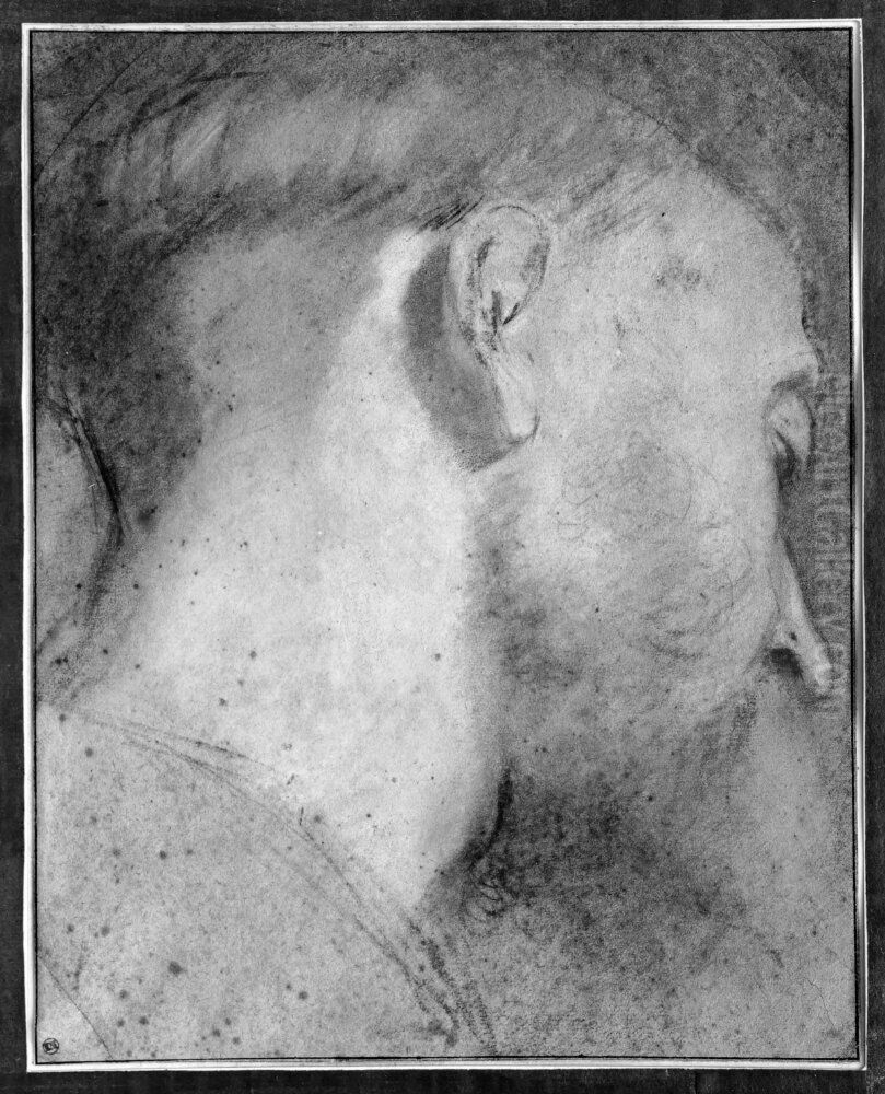 Head of a Man Inclined Downwards to the Right Oil Painting by Federico Barocci