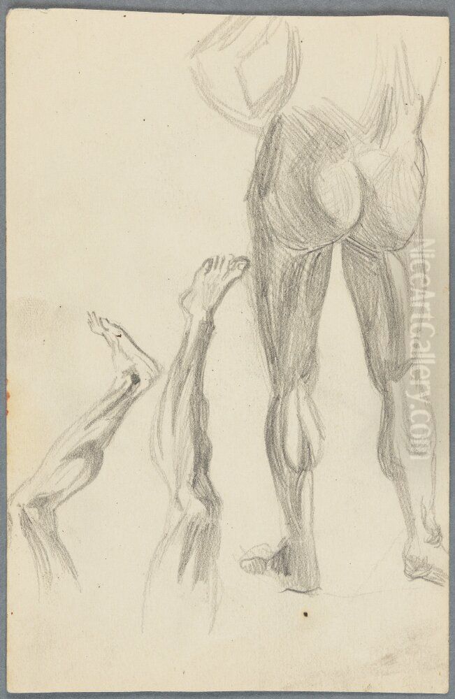 Anatomistudier Oil Painting by Ivar Arosenius