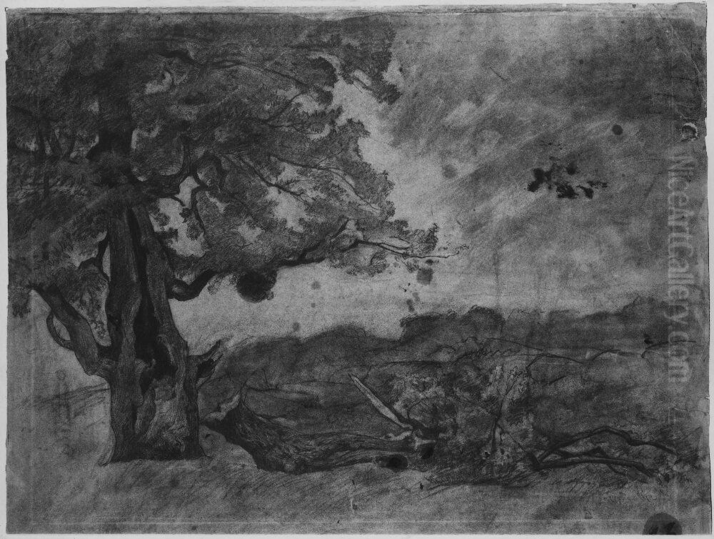 Landskap med skadad ek Oil Painting by Carl Fredrik Hill