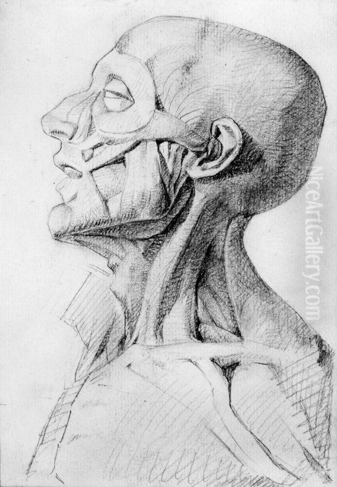 Skissbok. Draperi- och anatomistudier. Modelladresser Oil Painting by Per Hasselberg