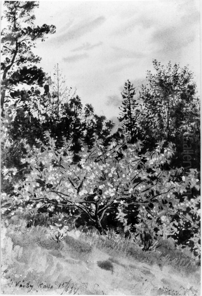 Blommande frukttrad, Varby Oil Painting by Albert Theodor Gellerstedt