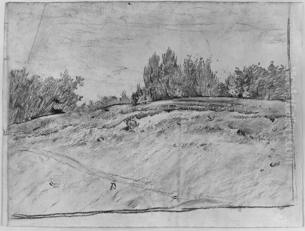 Skogslandskap, Frankrike Oil Painting by Carl Fredrik Hill