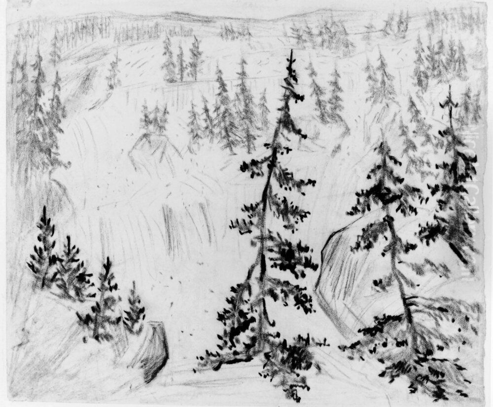 Granskog och klippblock Oil Painting by Carl Fredrik Hill