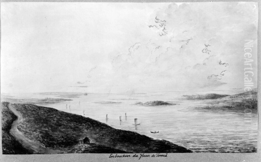 Embouchure du Fleuve de Tornea Oil Painting by Anders Fredrik Skjoldebrand