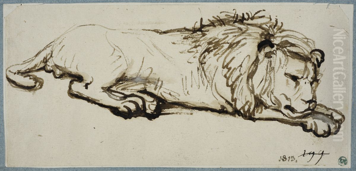 Sovande lejon Oil Painting by Rembrandt