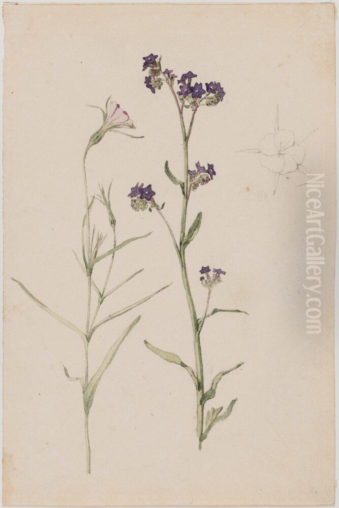 Study of Flowers, Common Corncockle and Common Bugloss Oil Painting by Jorgen Roed