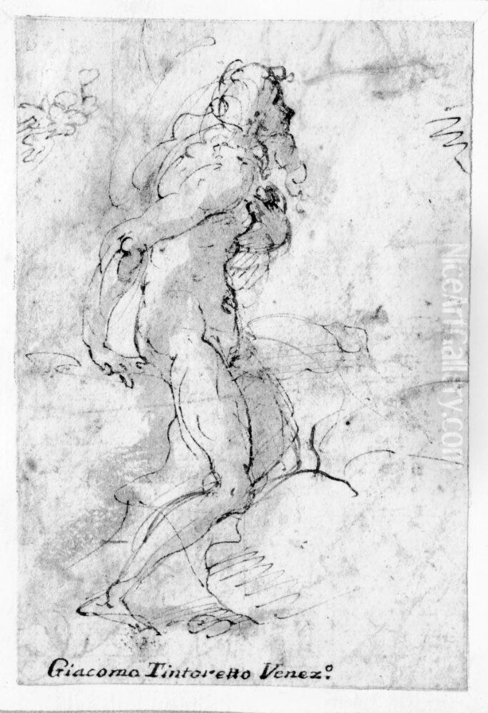 Study of a Nude Man Oil Painting by Jacopo Tintoretto