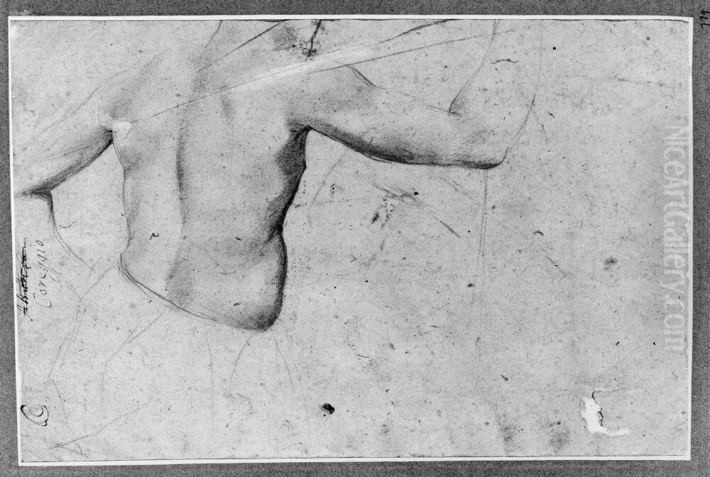 Etude af en naken rygg Oil Painting by Antonio da Correggio