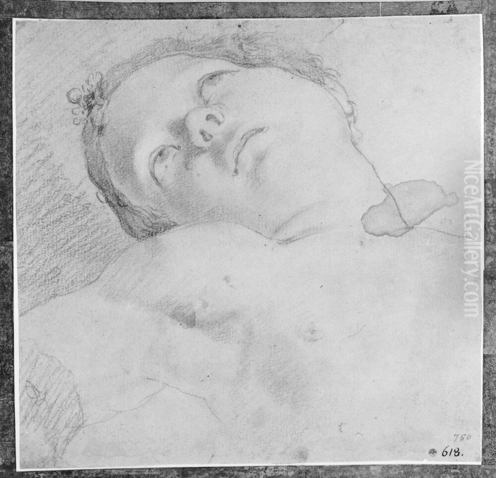 Head of a child thrown back Oil Painting by Marcantonio Franceschini)