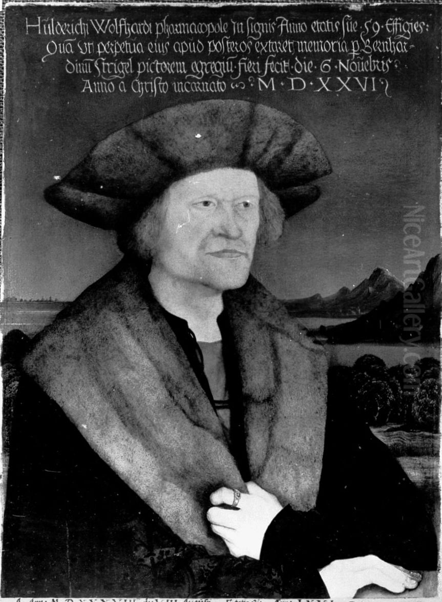 Portrait de l'apothicaire Holderich Wolfardt Oil Painting by Bernhard Strigel