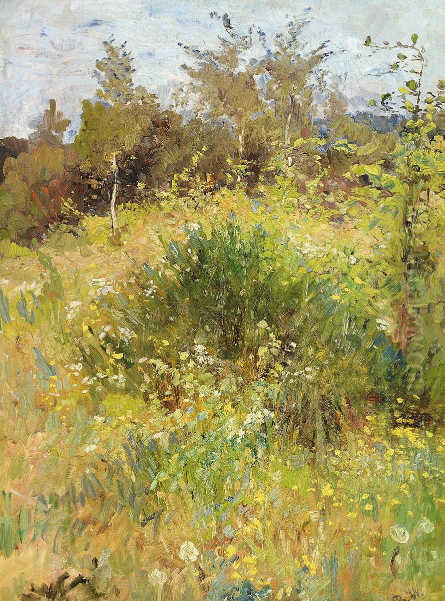 Summer landscape. Impressionist style. Oil Painting by Bertha Wegmann