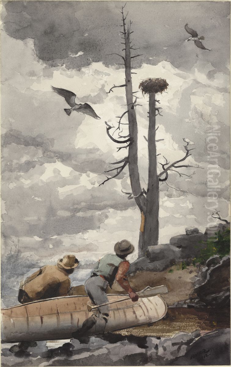 The Eagle's Nest / Osprey's Nest Oil Painting by Winslow Homer