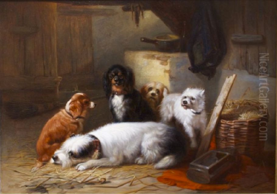 Dogs in a barn Oil Painting by Zacharie Noterman