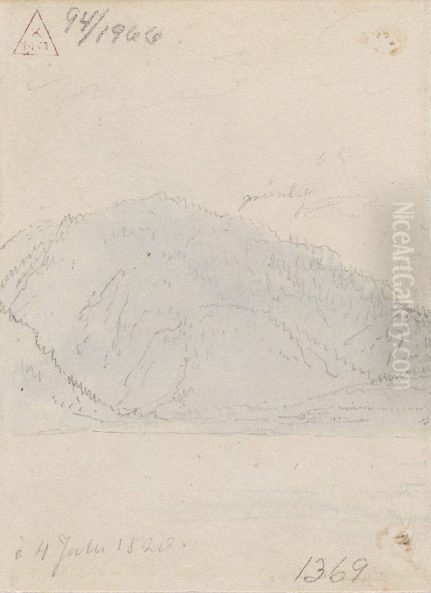 Skogkledde fjellsider Oil Painting by Johan Wilhelm Ludwig Dahl