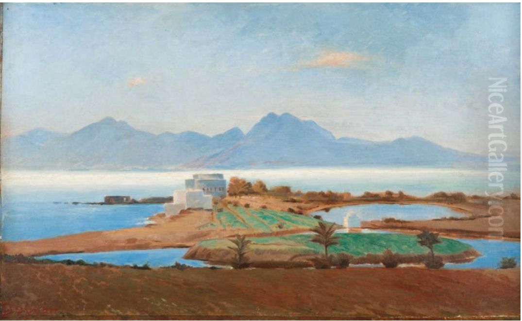 The bay of Carthage Oil Painting by Alberic Duyver
