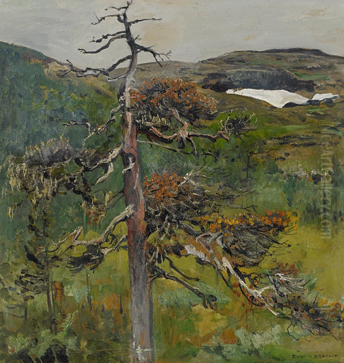 Die alte Kiefer Oil Painting by Eugen Bracht