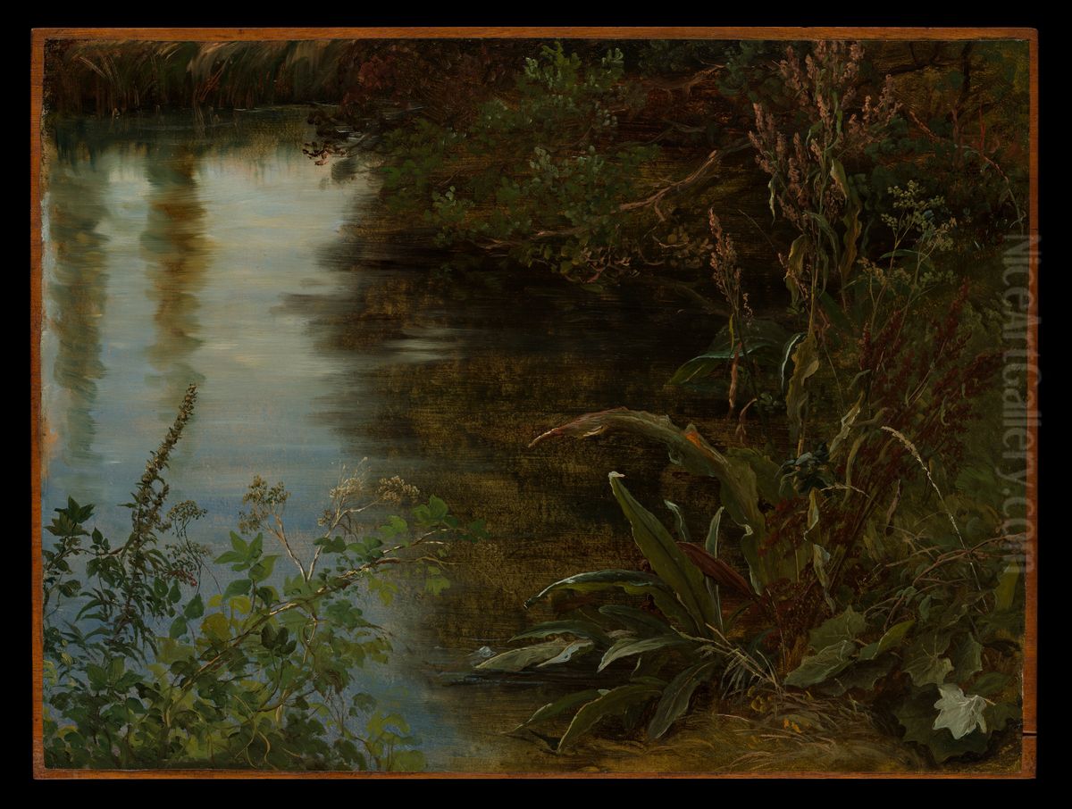 Study of Water and Plants Oil Painting by Thomas Fearnley