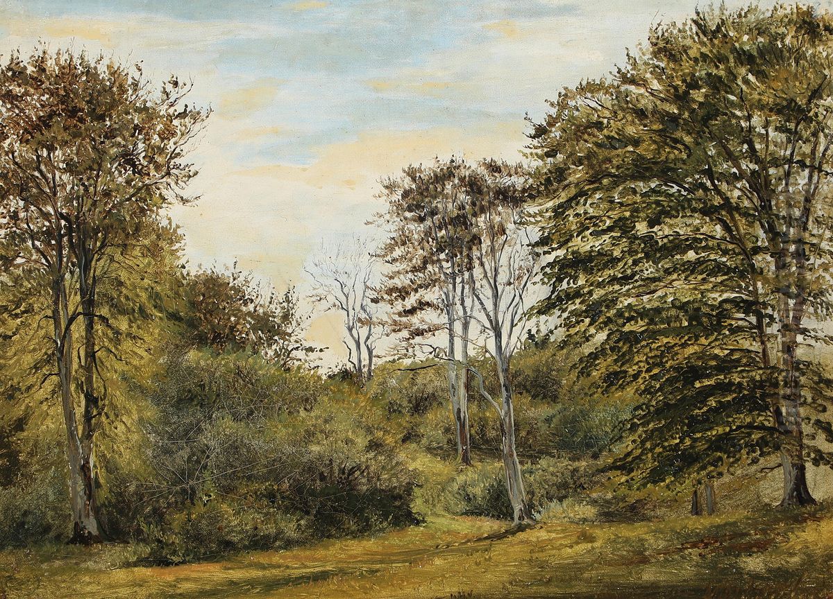 Fra en skovlysning en forarsdag Oil Painting by Janus Andreas Bartholin La Cour