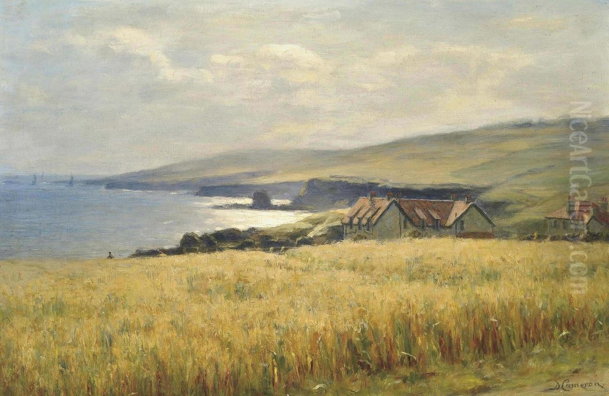 Sunlight On The Coast Oil Painting by Duncan Cameron