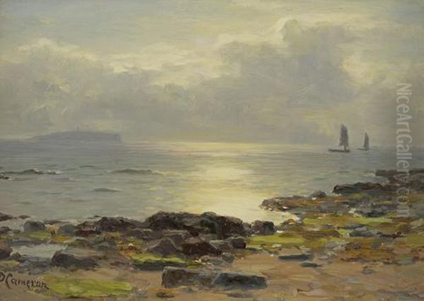 A Sunny Day Near Crail Oil Painting by Duncan Cameron
