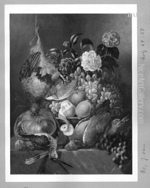 Stillleben mit toten Vogeln, Kamelie und Obst Oil Painting by Jan van Os