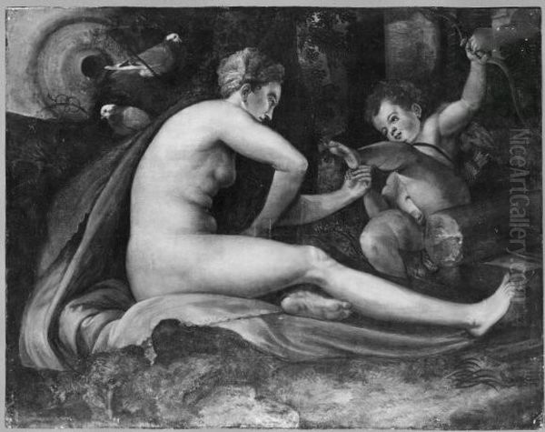 Venus and Amor Oil Painting by Frans Floris I